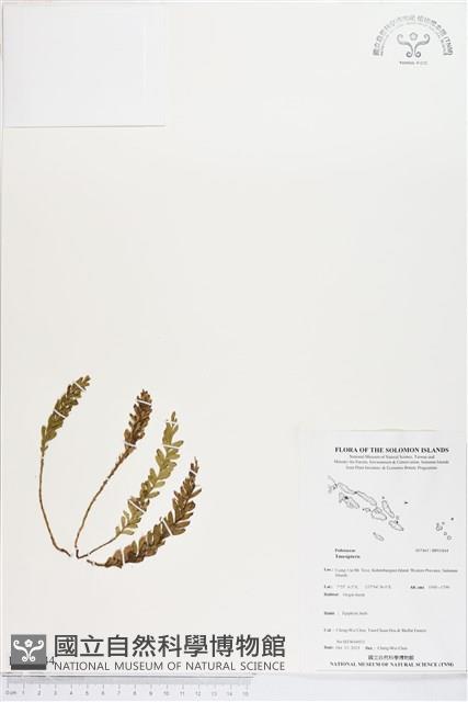 登錄號:BP01844藏品圖，第1張