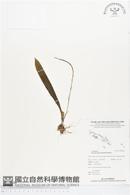 登錄號:BS01844藏品圖，第1張