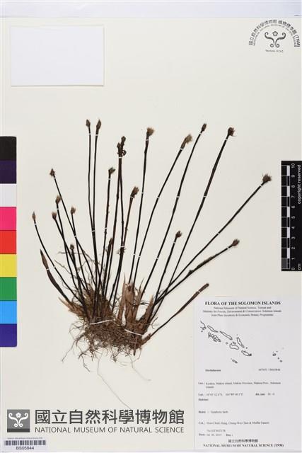 登錄號:BS05844藏品圖，第1張