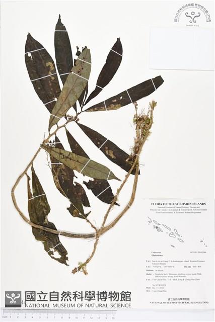 登錄號:BS02044藏品圖，第1張