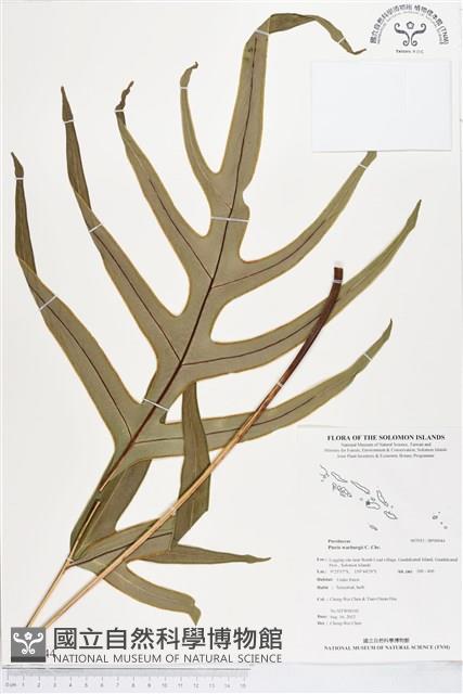 登錄號:BP00044藏品圖，第1張