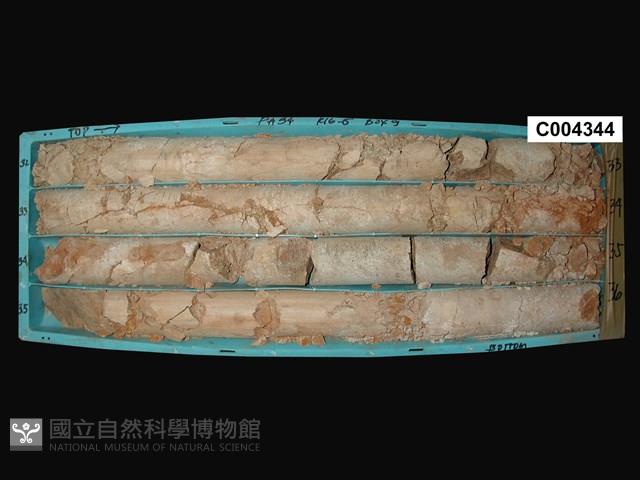 登錄號:C004344藏品圖，第1張