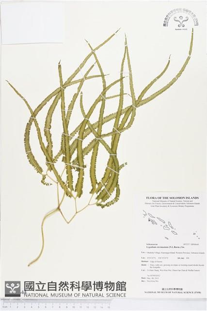 登錄號:BP00644藏品圖，第1張