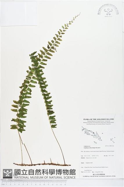 登錄號:BP02144藏品圖，第1張