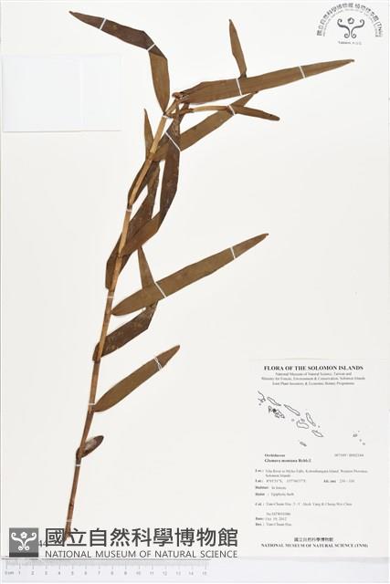 登錄號:BS02144藏品圖，第1張