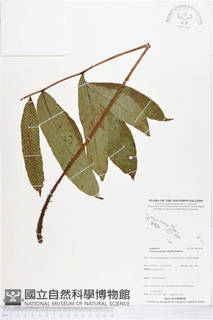 登錄號:BP01144藏品圖，第1張