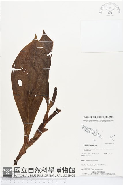 登錄號:BS04144藏品圖，第1張