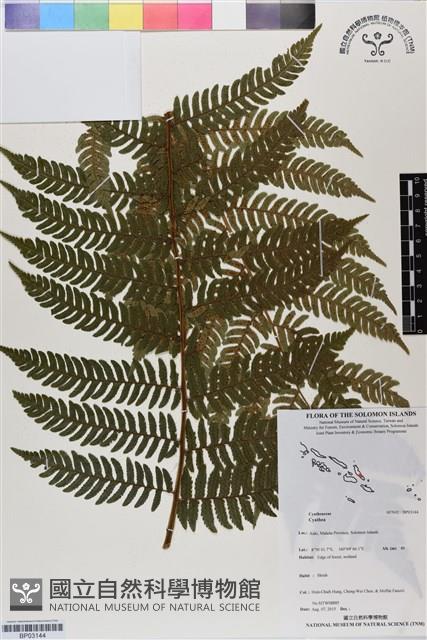 登錄號:BP03144藏品圖，第1張