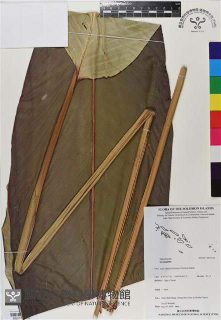 登錄號:BS07144藏品圖，第1張