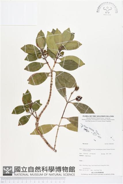 登錄號:BS03444藏品圖，第1張