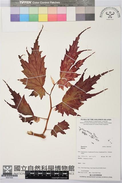 登錄號:BS07444藏品圖，第1張