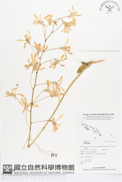 登錄號:BS02244藏品圖，第1張