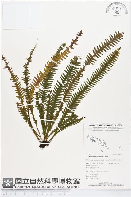 登錄號:BP00244藏品圖，第1張