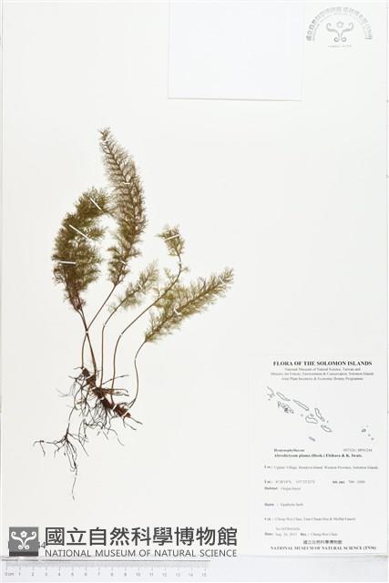 登錄號:BP01244藏品圖，第1張