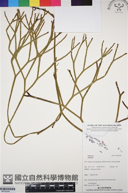 登錄號:BP03244藏品圖，第1張