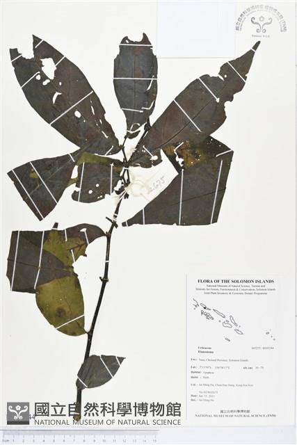 登錄號:BS03244藏品圖，第1張