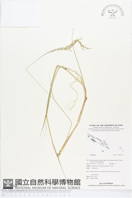 登錄號:BS02744藏品圖，第1張