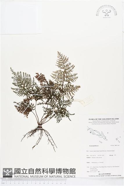 登錄號:BP01744藏品圖，第1張