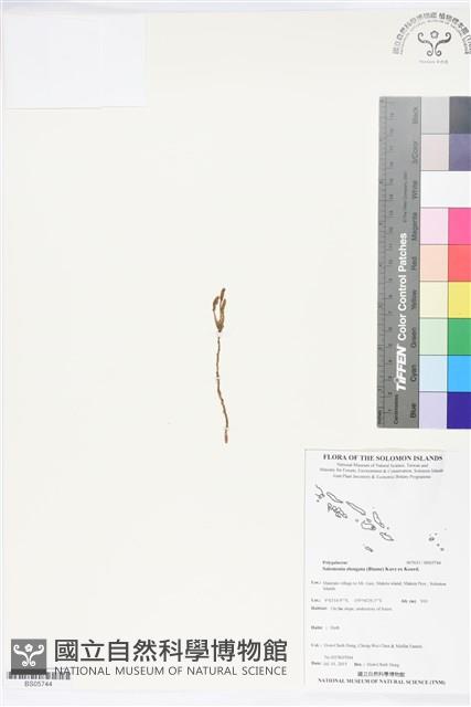 登錄號:BS05744藏品圖，第1張