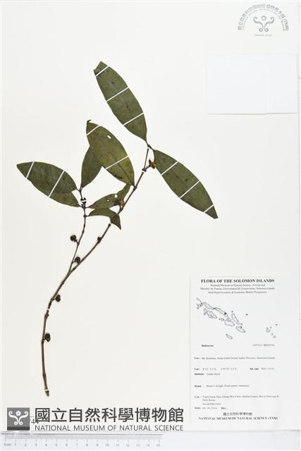 登錄號:BS04744藏品圖，第1張