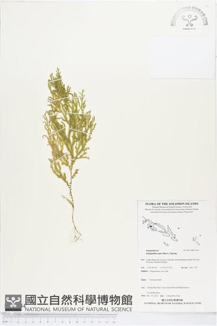 登錄號:BP01544藏品圖，第1張