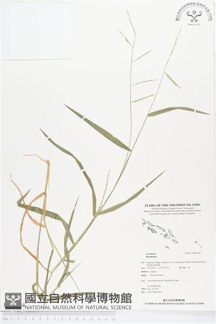 登錄號:BS01544藏品圖，第1張