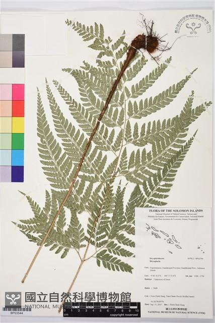 登錄號:BP03544藏品圖，第1張