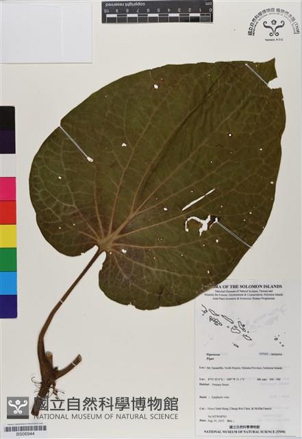 登錄號:BS06944藏品圖，第1張