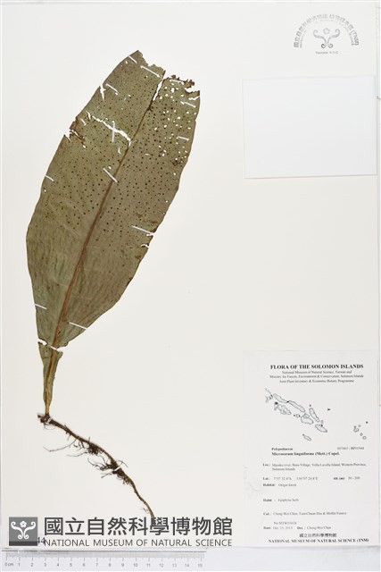 登錄號:BP01944藏品圖，第1張