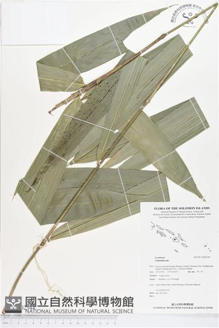 登錄號:BS02344藏品圖，第1張