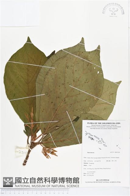 登錄號:BS03344藏品圖，第1張