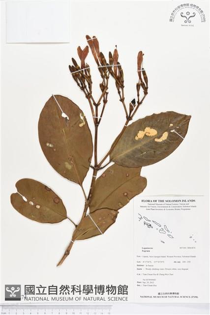 登錄號:BS01874藏品圖，第1張