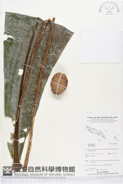 登錄號:BS04074藏品圖，第1張