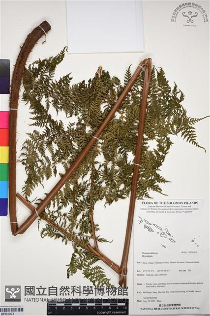 Accession Number:BP03074 Collection Image