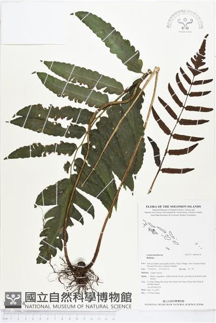 登錄號:BP00674藏品圖，第1張