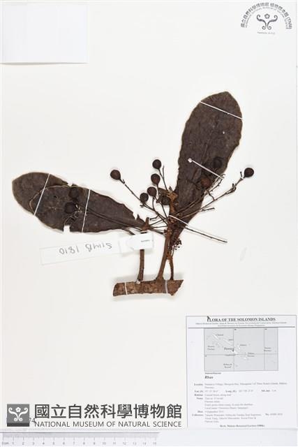 登錄號:BS01674藏品圖，第1張