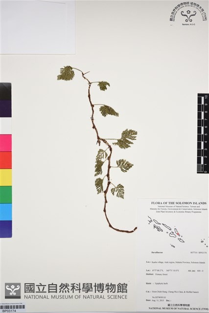 登錄號:BP03174藏品圖，第1張
