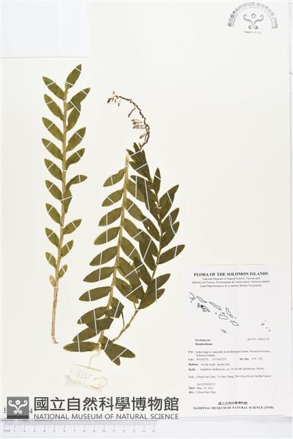 登錄號:BS03174藏品圖，第1張