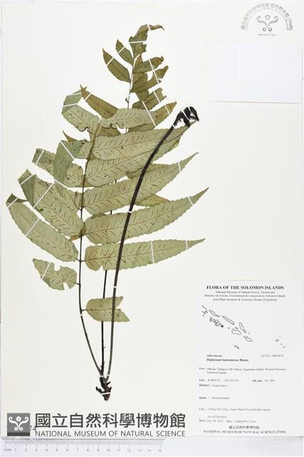 登錄號:BP01474藏品圖，第1張