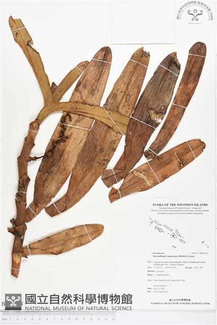 登錄號:BS01474藏品圖，第1張