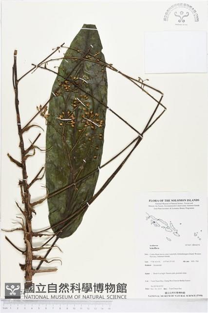 登錄號:BS04274藏品圖，第1張