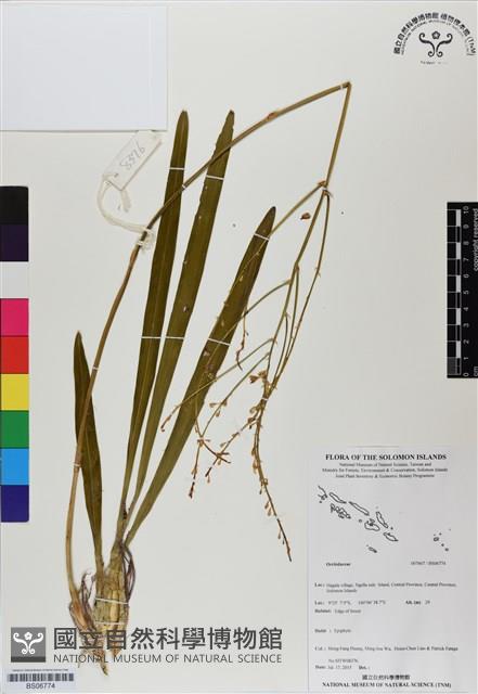 登錄號:BS06774藏品圖，第1張