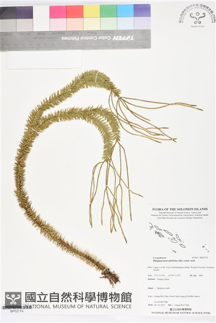 登錄號:BP02774藏品圖，第1張