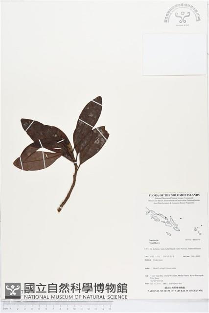 登錄號:BS04774藏品圖，第1張