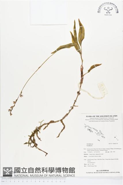 登錄號:BS02574藏品圖，第1張