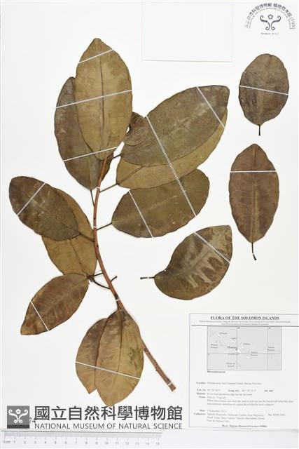 登錄號:BS01574藏品圖，第1張