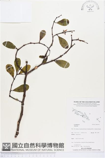 登錄號:BS04574藏品圖，第1張