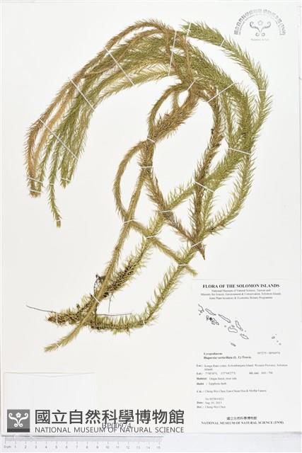 登錄號:BP00974藏品圖，第1張