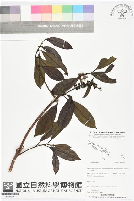 登錄號:BS05974藏品圖，第1張