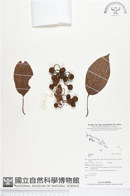 登錄號:BS02374藏品圖，第1張